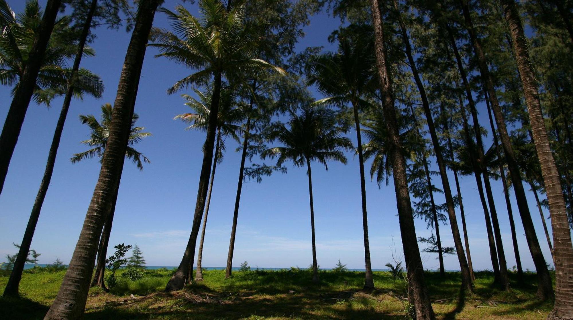 Khaolak Blue Lagoon Resort - Sha Extra Plus 카오락 외부 사진